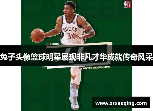 兔子头像篮球明星展现非凡才华成就传奇风采